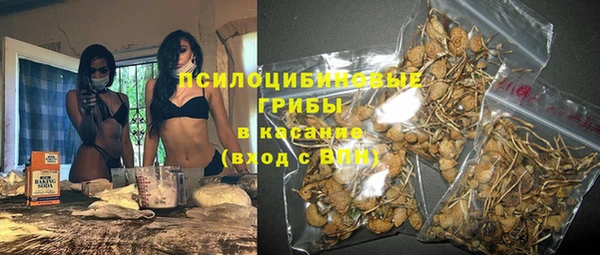 дмт Алексеевка