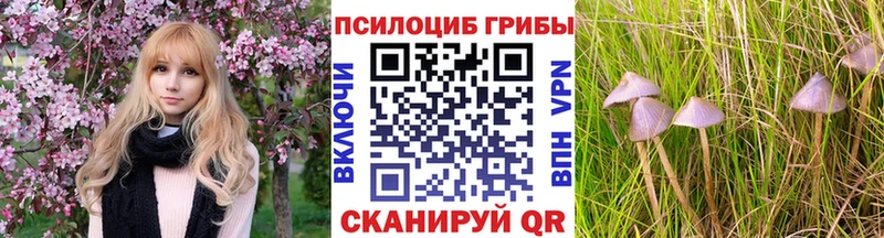 закладка  Мичуринск  Галлюциногенные грибы Magic Shrooms 