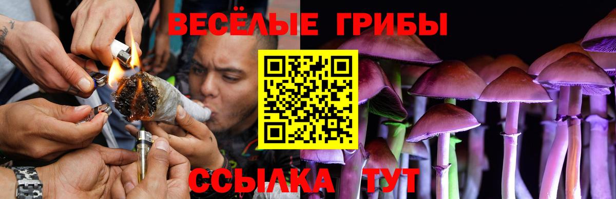 Мичуринск  Псилоцибиновые грибы мухоморы  купить наркоту  Галлюциногенные грибы ЛСД  Вход с VPN 